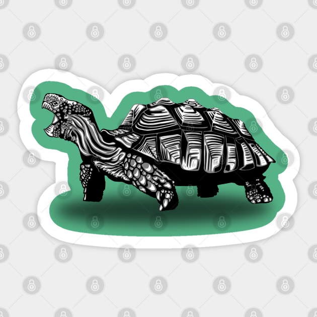 Tortoise Sticker by Munda Lyn